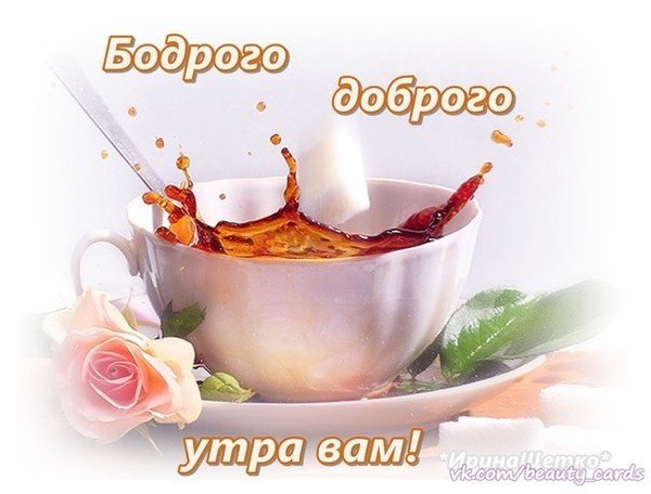 С добрым бодрым утром