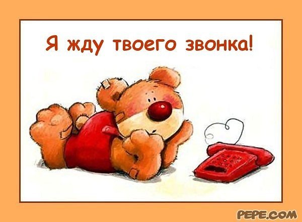 Жду твоего звонка любимый