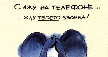 Кот ждет звонка