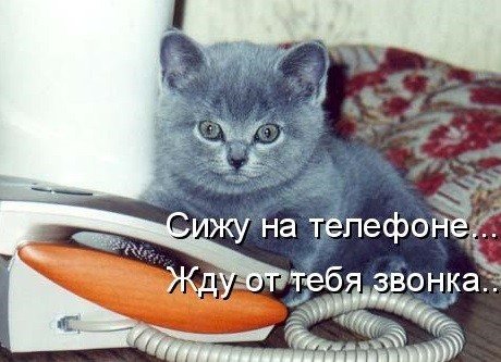 Жду тебя стих