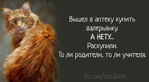 Ура каникулы кончились