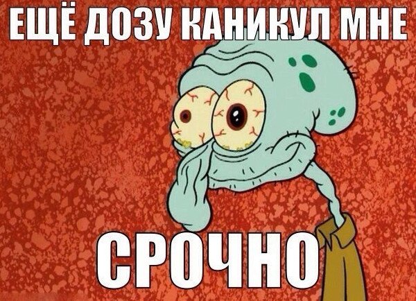 Смешные картинки про каникулы