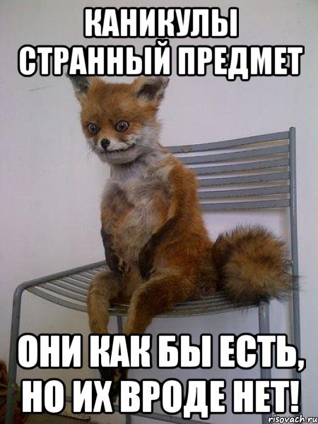 Последний день каникул