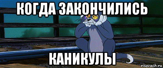 Каникулы закончились Мем