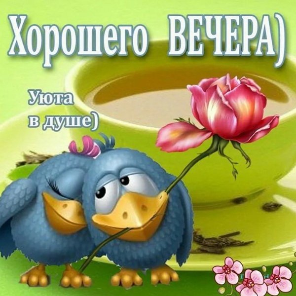 Веселые поздравления с добрым вечером