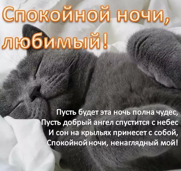 Споеойнойночи любимый