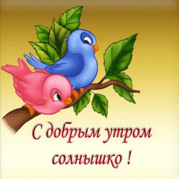 Доброе утро солнышко