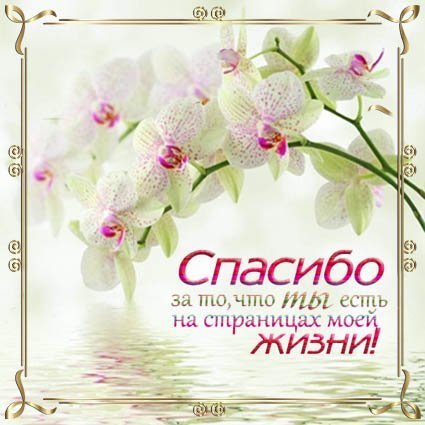 Нежная открытка о словами благодарности