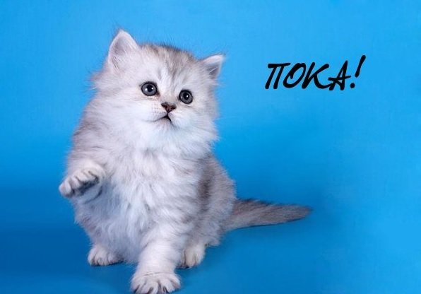 Картинка пока