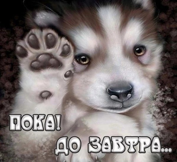 Спокойной ночи Светик