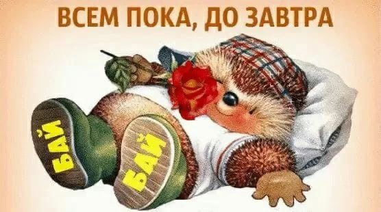 Пока до завтра