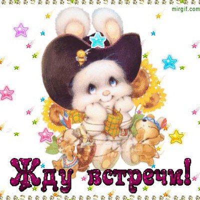 Жду встречи