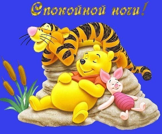 Спокойной ночи Тигренок