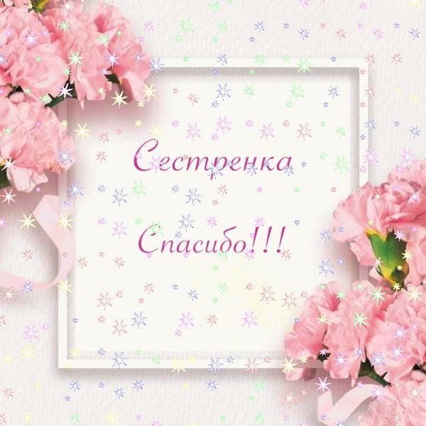 Спасибо большое за теплые слова