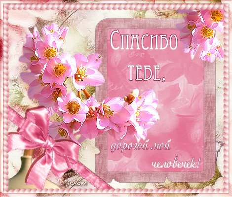 Открытки спасибо солнышко