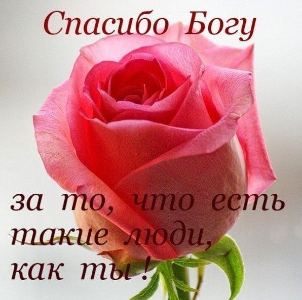 Спасибо большое за поздравления