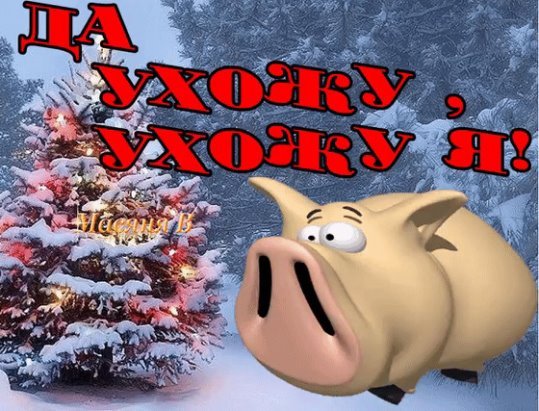 Старый год уходит прикольные