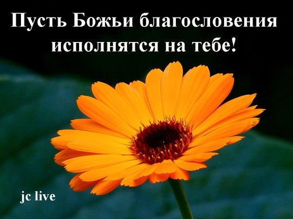 Открытки с Божьим благословением