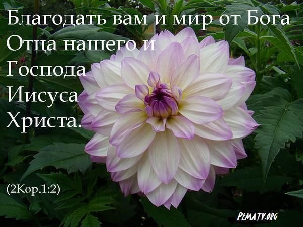 Благословений вам от Господа Иисуса Христа