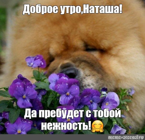 Доброе утро Наташа открытки