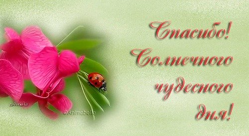 Спасибо хорошего дня