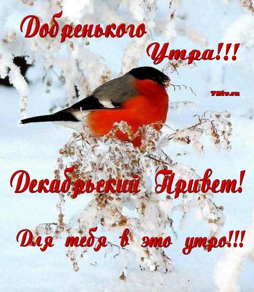 С добрым зимним субботним утром