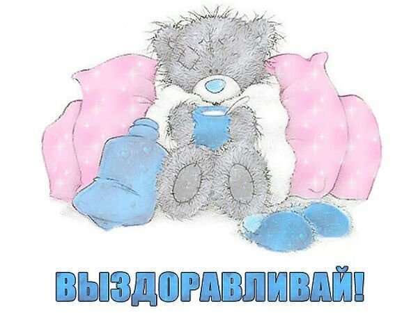 Поправляйся мишки Тедди