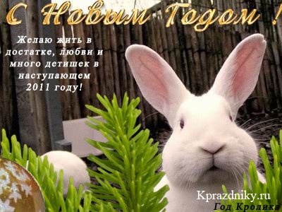 Новогодние поздравления