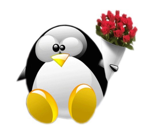 С днем рождения Пингвинчик