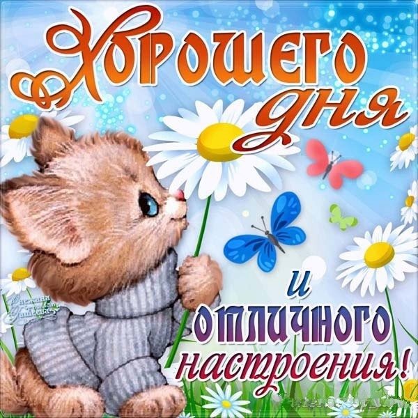 Хорошего денечка