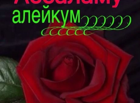 Салам алейкум