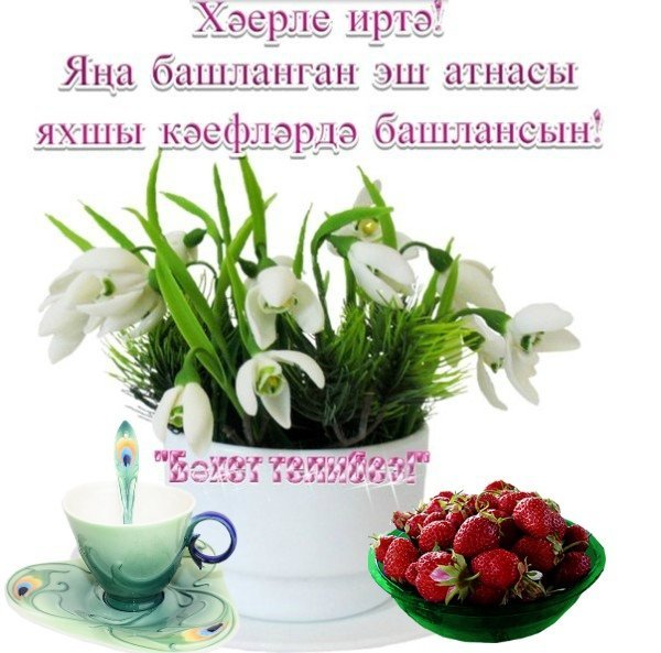 Хәерле иртә с белыми розами