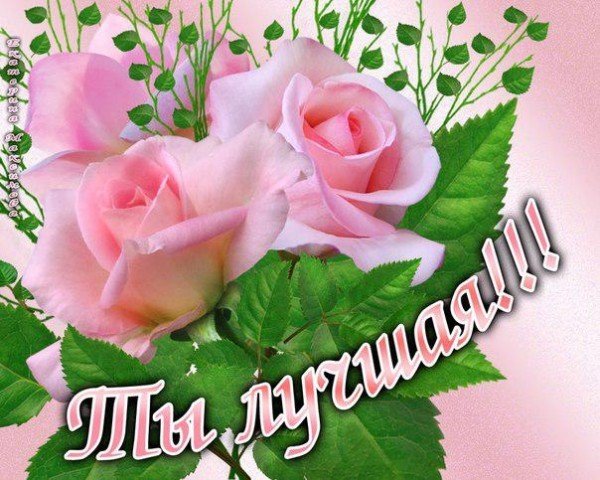 Цветы для милой подруги