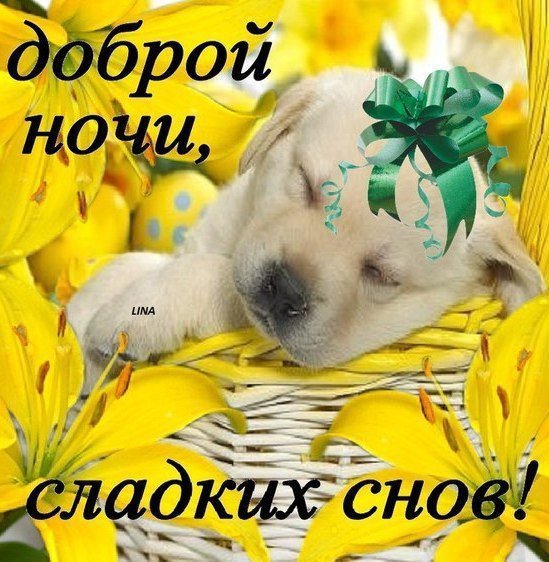 Доброй ночи сладких снов