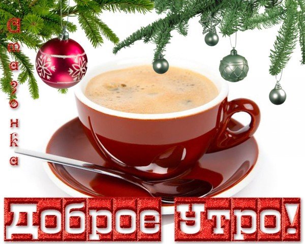 Доброе зимнее утро с веточкой ели