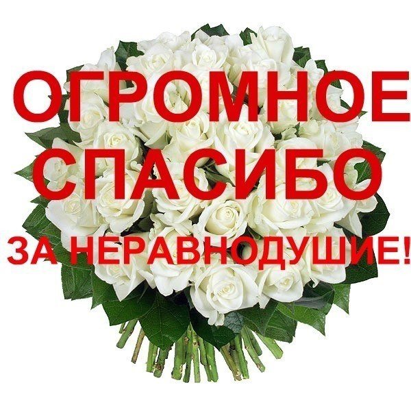 Открытка спасибо за заботу