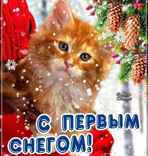 С добрым утром с первым снегом