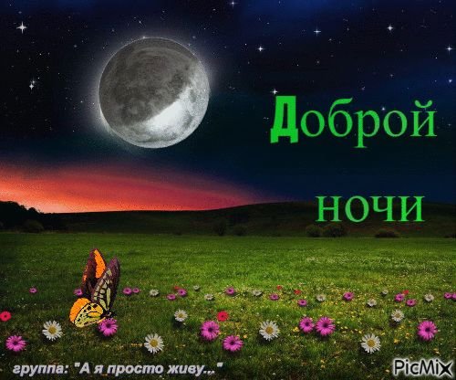 Доброй ночи летом