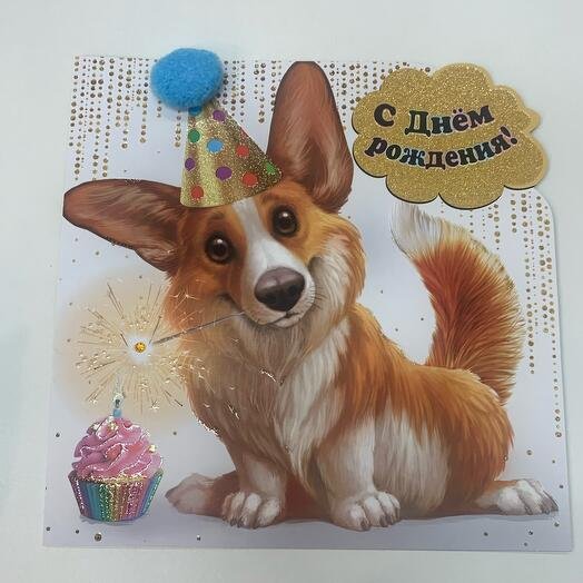 Открытка с корги