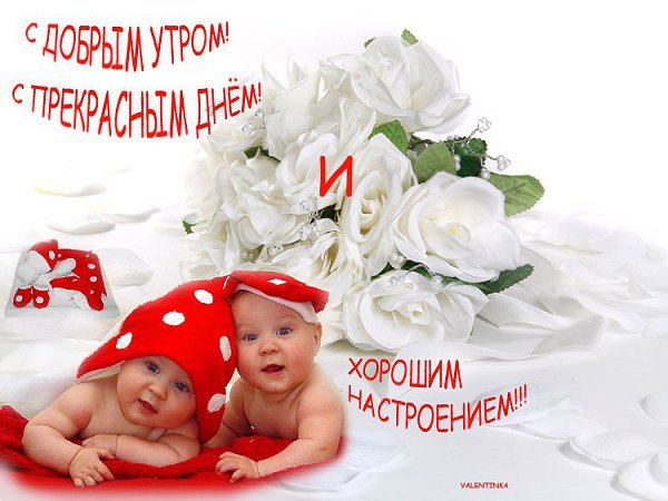 С добрым утром сестренка