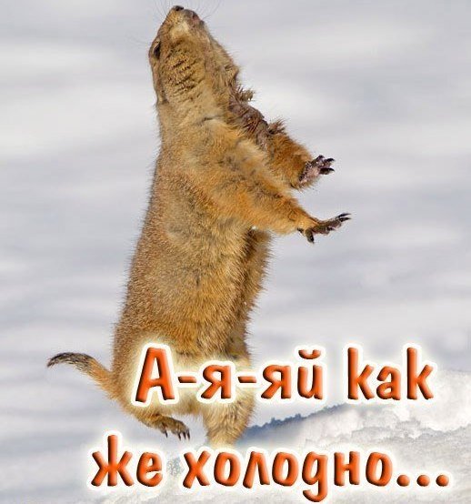 Высказывания про холодный июнь