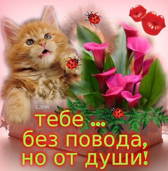 Открытка тебе от души