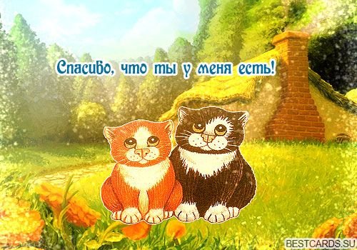 Открытки спасибо большое