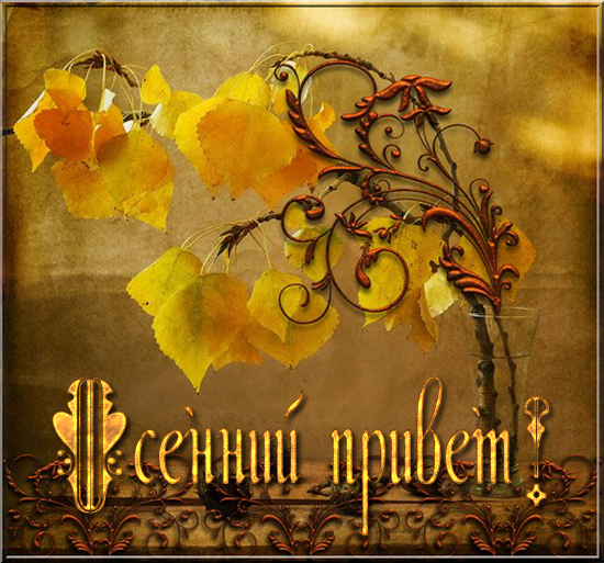 Открытки осенний привет