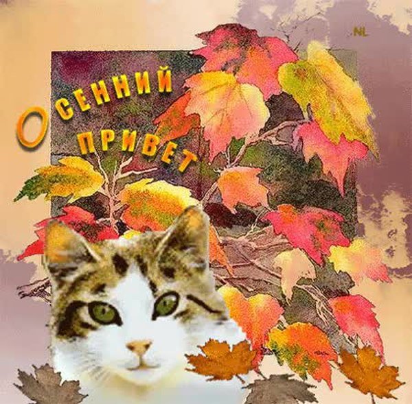 Тёплая осень