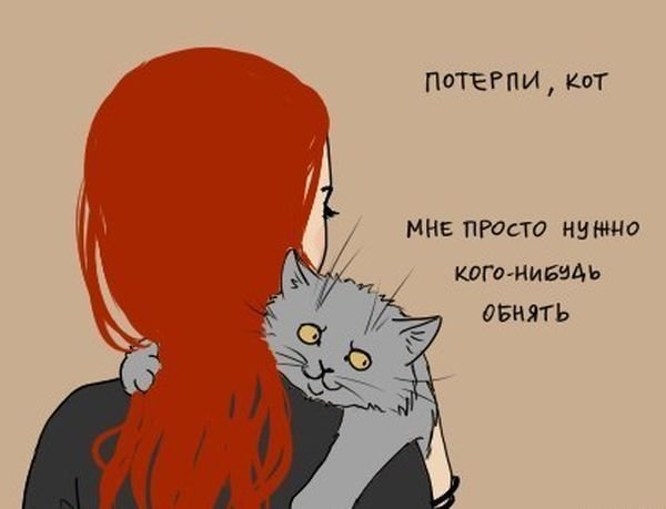 Потерпи кот