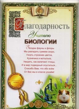 Поздравление учителю истории