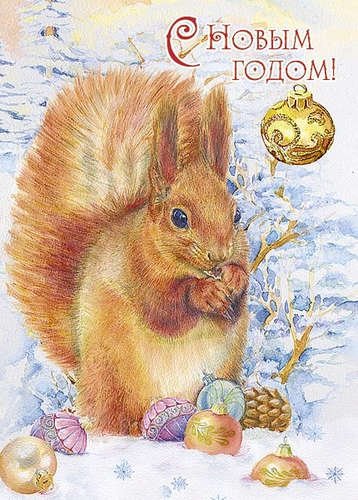 Открытки с новым годом с белками