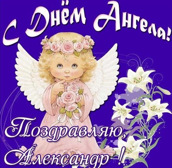 Именины Александра