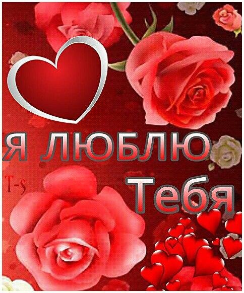Открытки я тебя люблю любимая
